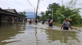 Desa Bincau Muara, terendam banjir. (Foto: MR) 