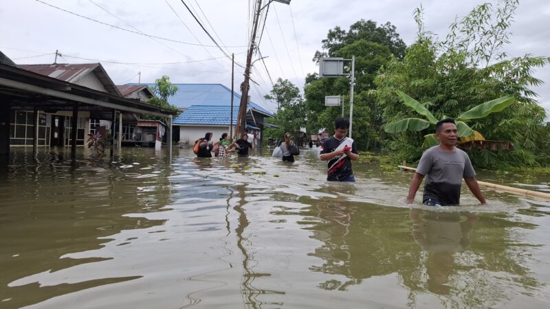 Desa Bincau Muara, terendam banjir. (Foto: MR) 