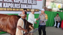 0-3968x2976-0-0-{}-0-24#