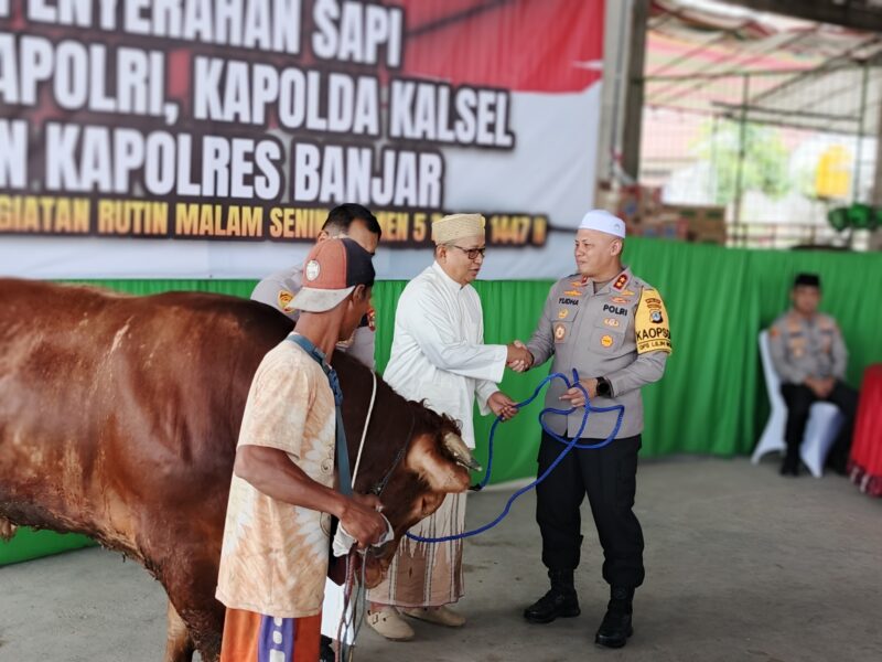 0-3968x2976-0-0-{}-0-24#