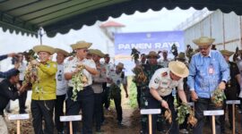 0-3968x2976-0-0-{}-0-24#