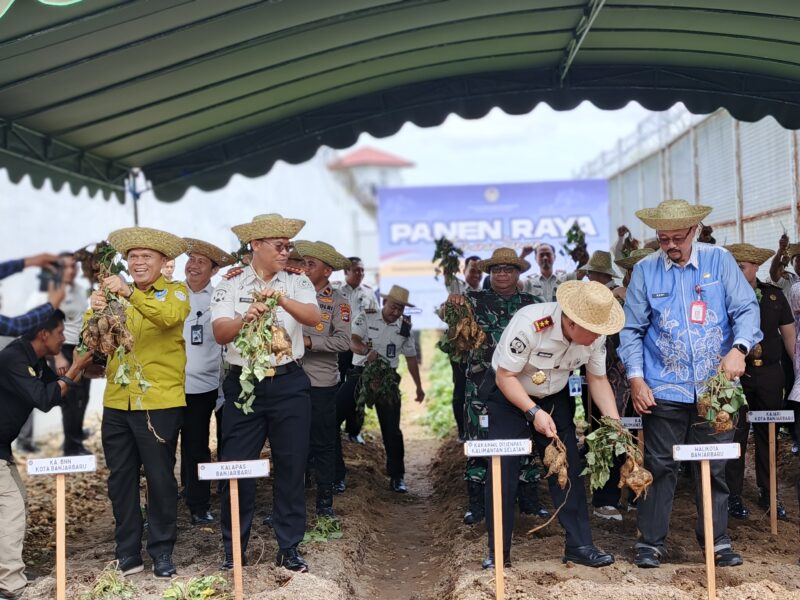 0-3968x2976-0-0-{}-0-24#