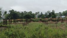 0-3968x2976-0-0-{}-0-24#