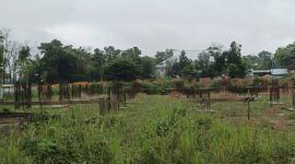 0-3968x2976-0-0-{}-0-24#