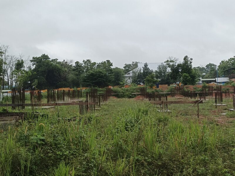 0-3968x2976-0-0-{}-0-24#