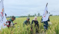 0-3968x2976-0-0-{}-0-24#