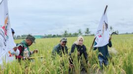 0-3968x2976-0-0-{}-0-24#