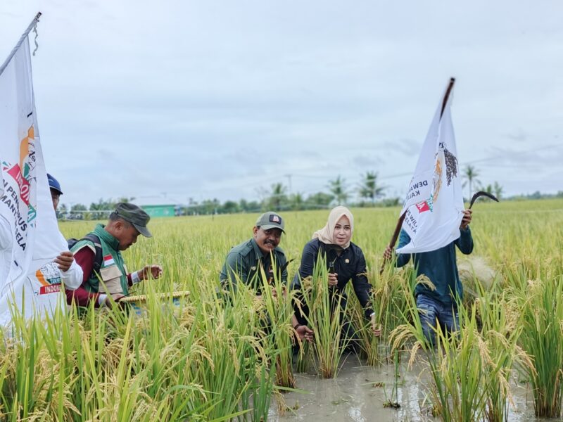 0-3968x2976-0-0-{}-0-24#