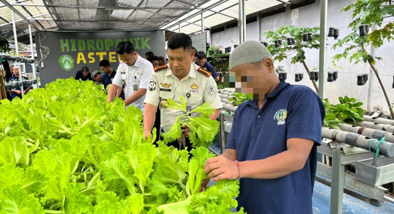 foto slider headline