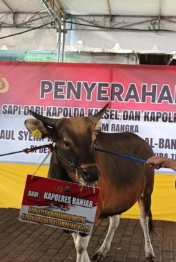 berita-rekomendasi-foto