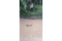 Warga Desa Sungai Tuan Ulu, Kabupaten Banjar, digegerkan dengan penemuan sesosok mayat pria di pintu aliran air, Rabu (27/5/2026) pagi sekitar pukul 06.30 Wita.