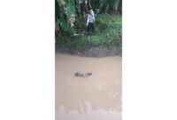 Warga Desa Sungai Tuan Ulu, Kabupaten Banjar, digegerkan dengan penemuan sesosok mayat pria di pintu aliran air, Rabu (27/5/2026) pagi sekitar pukul 06.30 Wita.