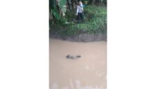 Warga Desa Sungai Tuan Ulu, Kabupaten Banjar, digegerkan dengan penemuan sesosok mayat pria di pintu aliran air, Rabu (27/5/2026) pagi sekitar pukul 06.30 Wita.
