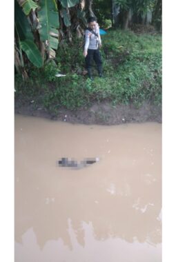 berita-rekomendasi-foto