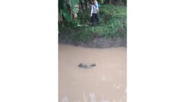 Warga Desa Sungai Tuan Ulu, Kabupaten Banjar, digegerkan dengan penemuan sesosok mayat pria di pintu aliran air, Rabu (27/5/2026) pagi sekitar pukul 06.30 Wita.
