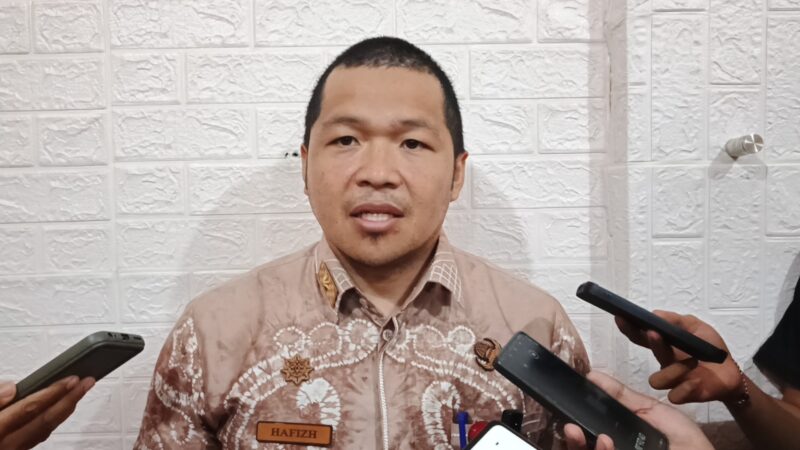 Kepala DPMD Kabupaten Banjar, M Hafizh Anshari. 